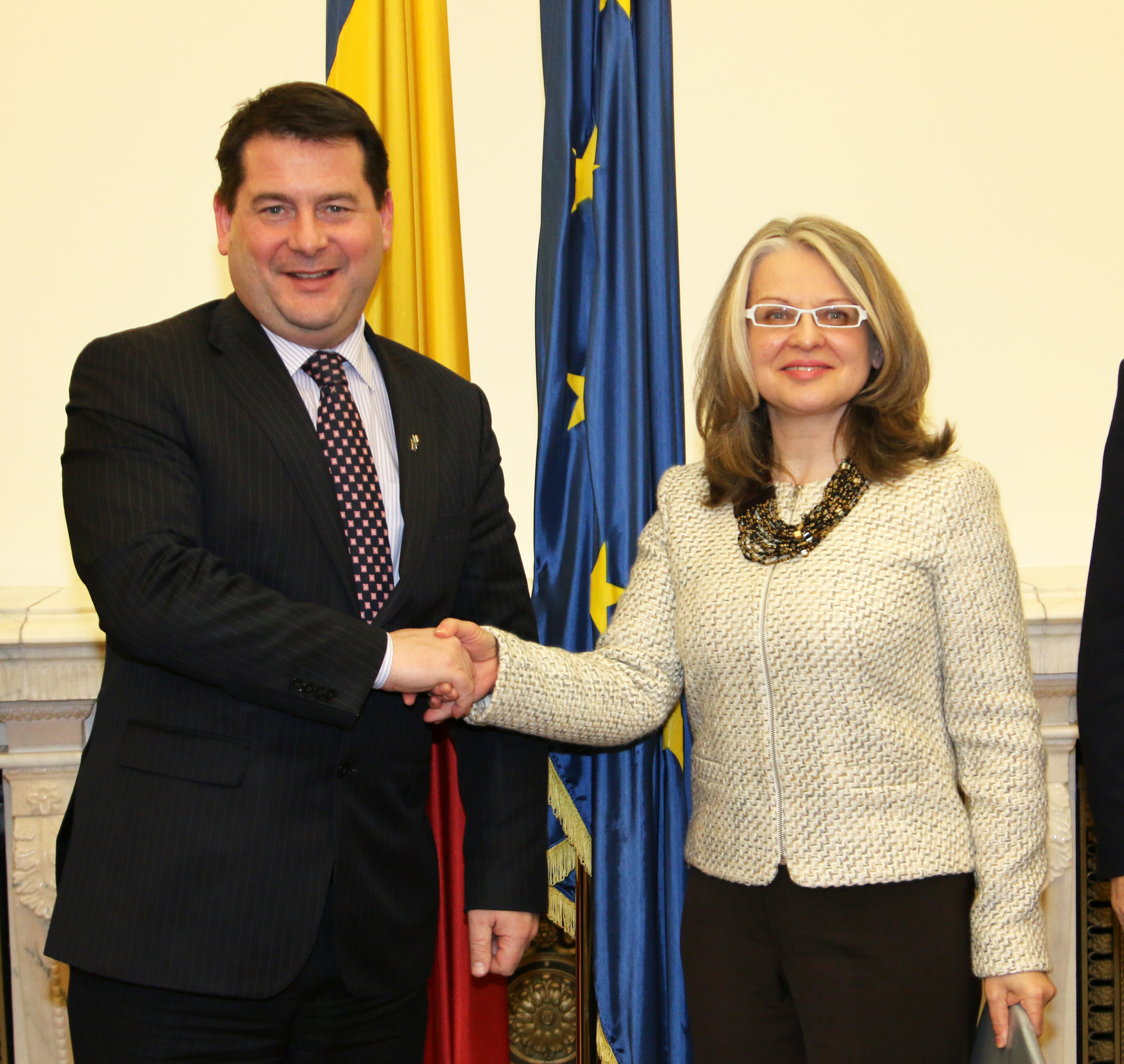 Întrevederea Comisiilor pentru afaceri europene ale Senatului României și Camerei Deputaților cu domnul Dara Murphy, ministru de stat pentru afaceri europene, piață unică digitală a UE și protecția datelor din Guvernul Irlandei