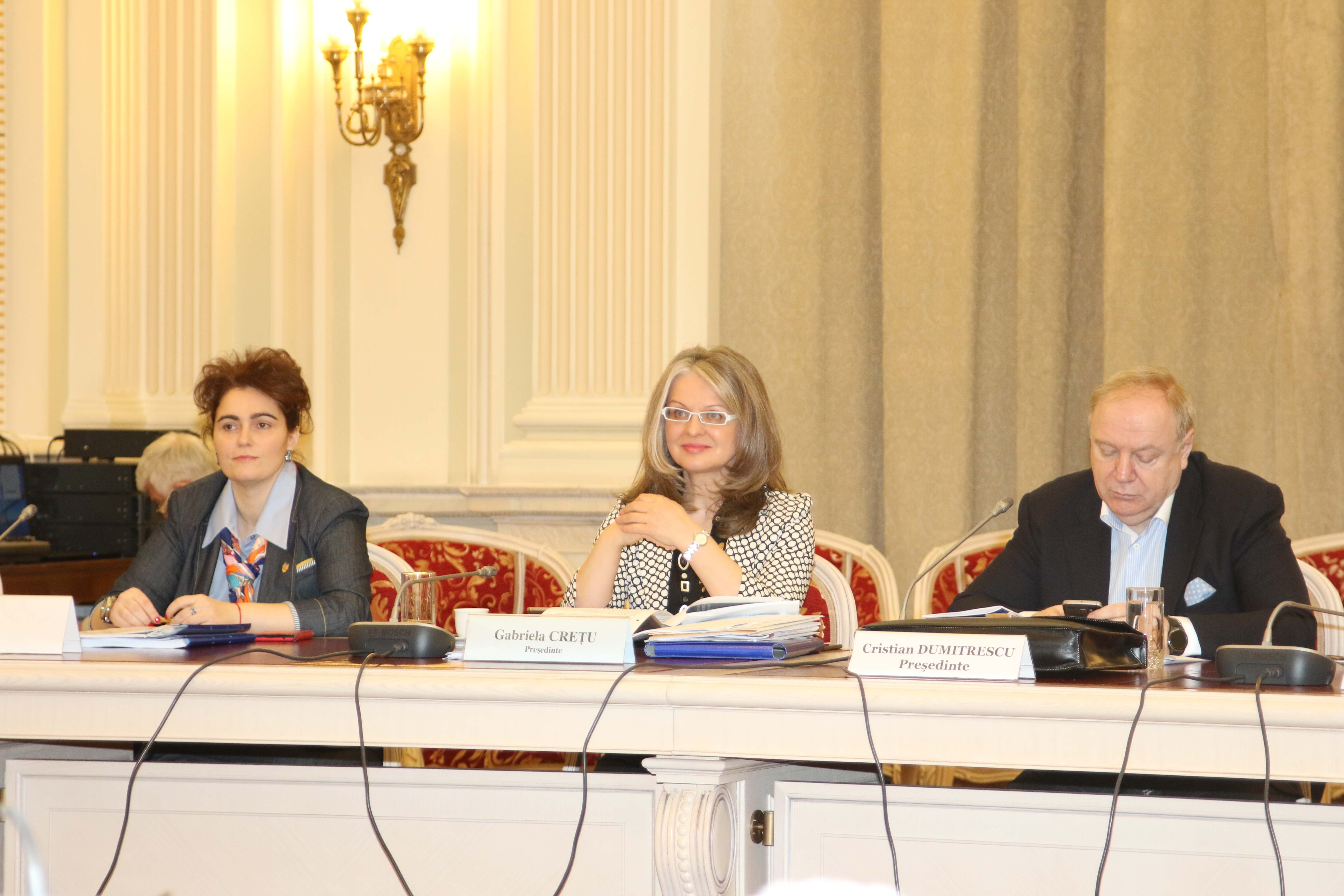 Întrevederea Comisiei pentru afaceri europene și a Comisiei pentru politică externă din Senatul României cu Ministrul delegat pentru Afaceri Europene, Ana Birchall, pe tema ultimele evoluții privind decizia Marii Britanii de a părăsi Uniunea Europeană