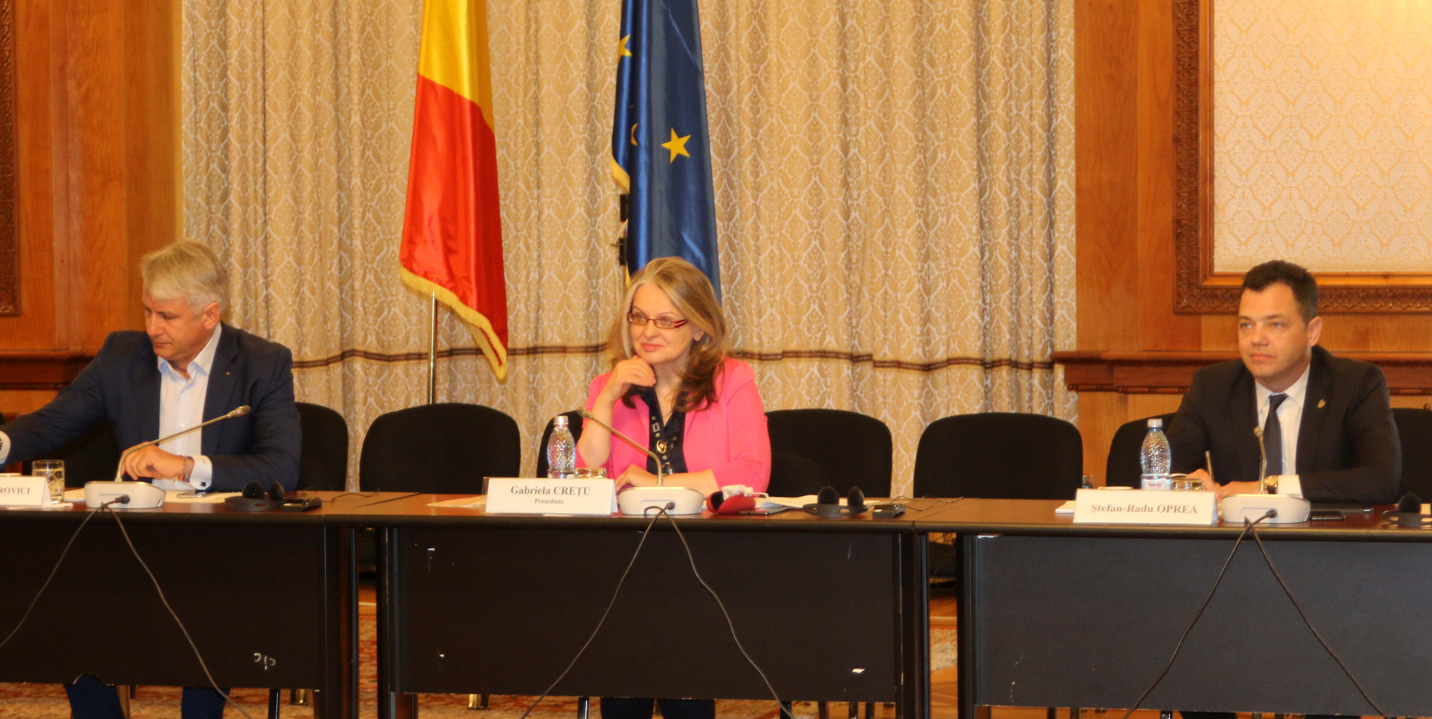 Întrevederea Comisiilor pentru afaceri europene și pentru buget, finanțe și bănci din Camera Deputaților și Senat cu doamna Kerstin JORNA, Directorul general adjunct, Direcția Generală pentru Afaceri Economice și Financiare, Comisia Europeană