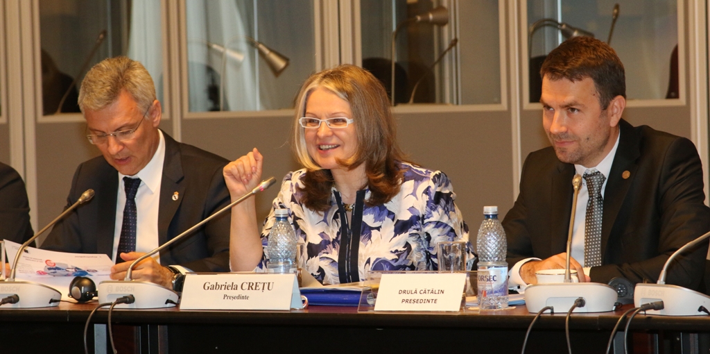 Întrevederea Comisiei pentru Afaceri Europene cu domnul Andrus ANSIP, vicepreşedinte al Comisiei Europene, responsabil pentru Piaţa unică digitală 