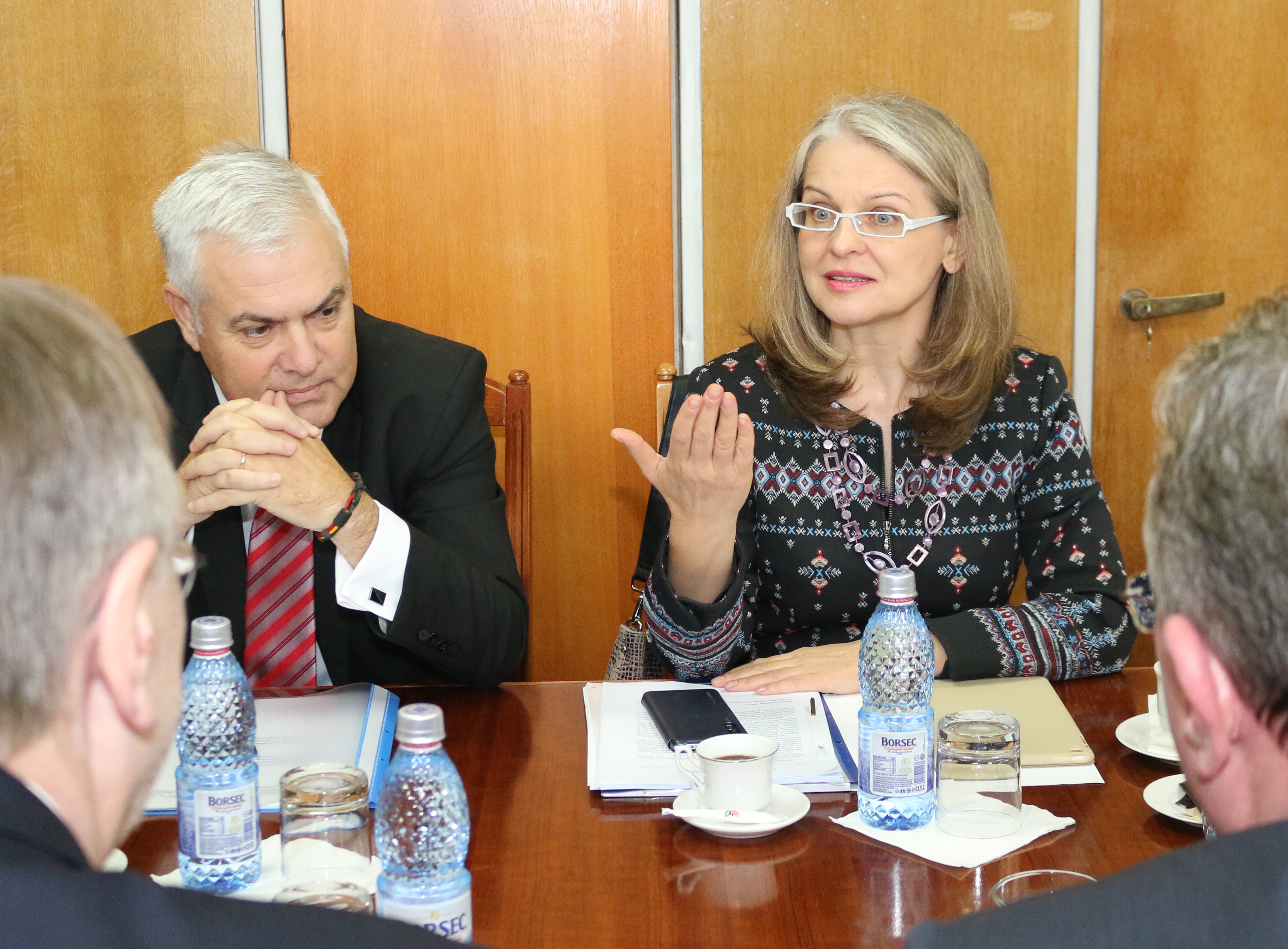 Întâlnirea doamnei senator Gabriela Crețu, președinta Comisiei pentru Afaceri Europene din Senatul României, cu conducerea Comisiei INTA
