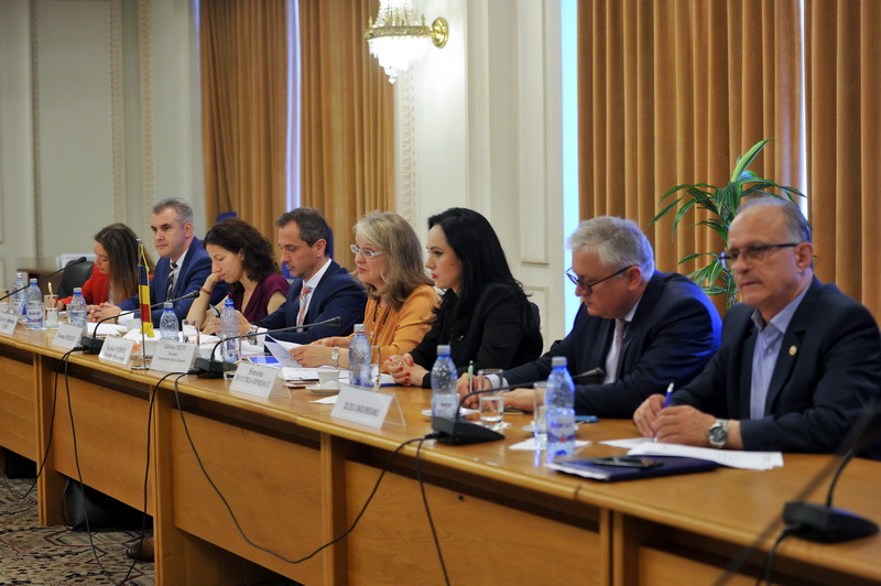 Întrevederea Comisiilor reunite pentru afaceri europene ale Senatului şi Camerei Deputaţilor cu Grupul parlamentar de prietenie cu România din Adunarea Naţională a Republicii Franceze, miercuri 13 iunie 2018