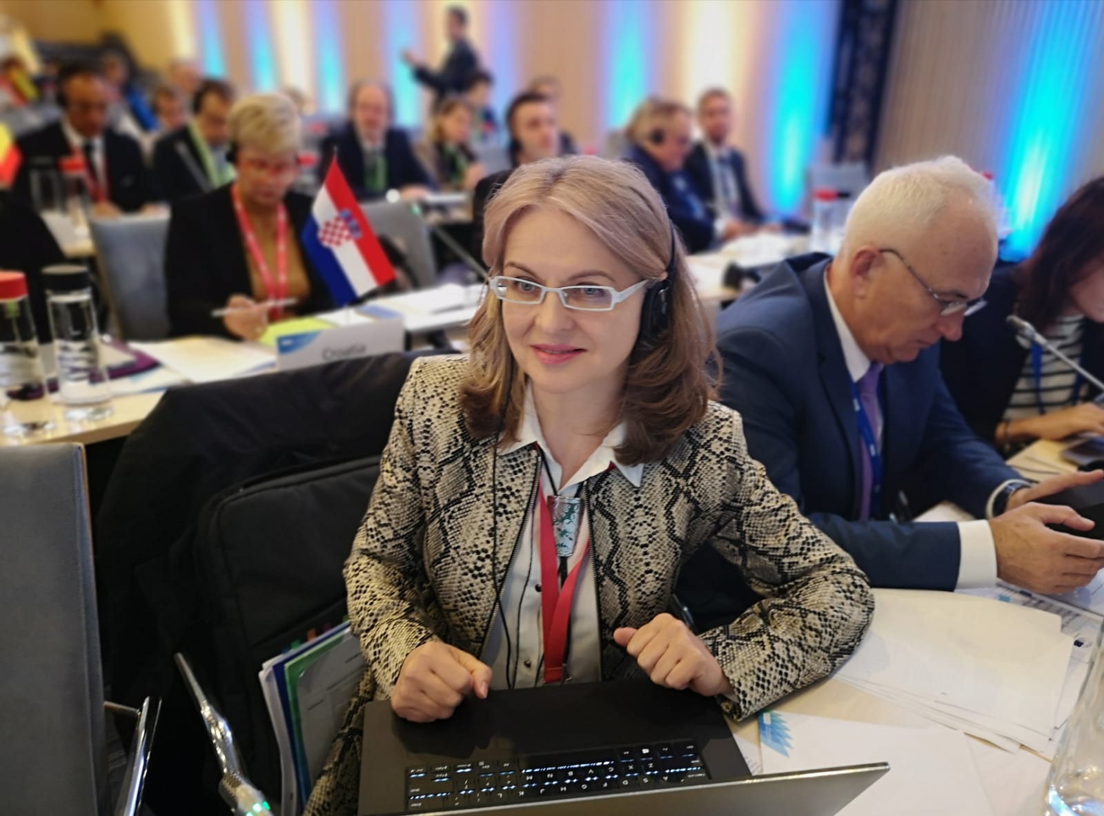 “Cei aflați în risc de sărăcie în Uniunea Europeană puteau constitui o țară cât Germania, în 2009. Acum sunt mai mulți!” a declarat președinta Comisiei pentru afaceri europene a Senatului României, Gabriela Crețu, la Conferința Interparlamentară privind Stabilitatea, Coordonarea Economică și Guvernanța în Uniunea Europeană  