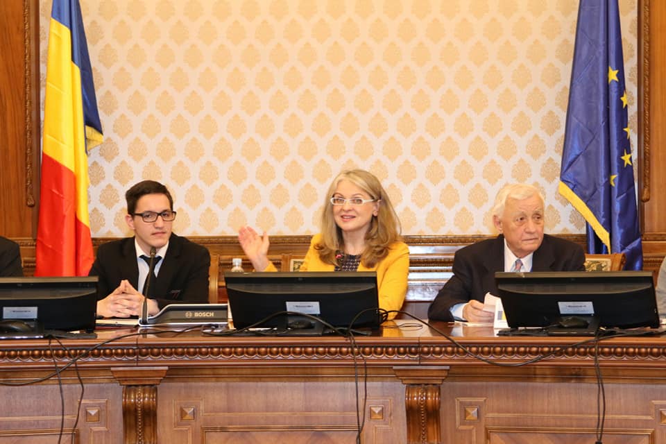 Seminarul internațional pe tema serviciilor destinate copiilor din zone și medii defavorizate orgaizat de FICE Romania