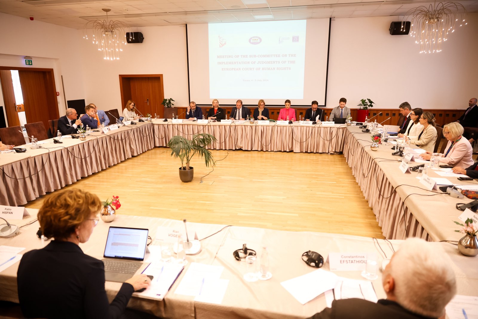 Participarea reprezentanților Senatului la reuniunea Subcomisiei Adunării Parlamentare a Consiliului Europei pentru implementarea hotărârilor Curții Europene a Drepturilor Omului