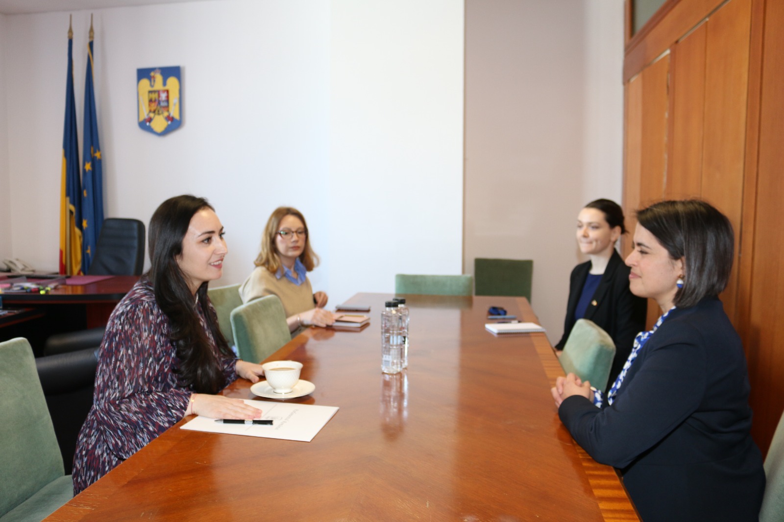 Întâlnire oficială între președintele Comisiei pentru învățământ, știință și inovare din Senat și viceambasadoarea Marii Britanii în România