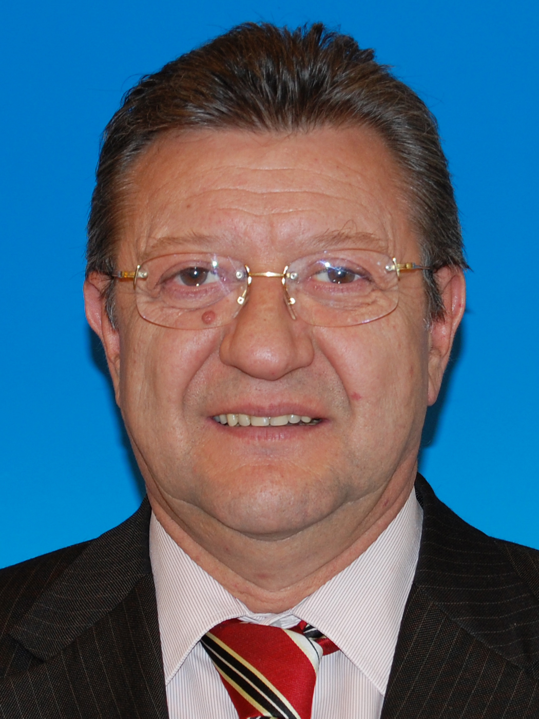 NICULESCU-DUVĂZ M. Bogdan Nicolae